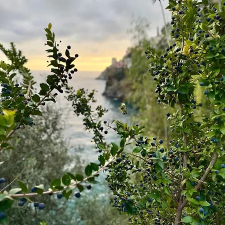 Villa Amare With And Breathtaking Views Ravello